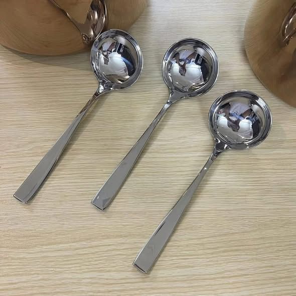 muoi canh inox 18 10 wmf dai 19cm