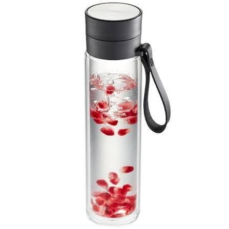 binh dung nuoc thuy tinh kem loc gefu 12796 companion 450ml
