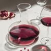 binhthoruouvangzwiesel123674muse1lit