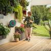bovoituoicaydayruttudong15metgardena1860020