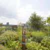 bovoituoicaybanconggardena1841120