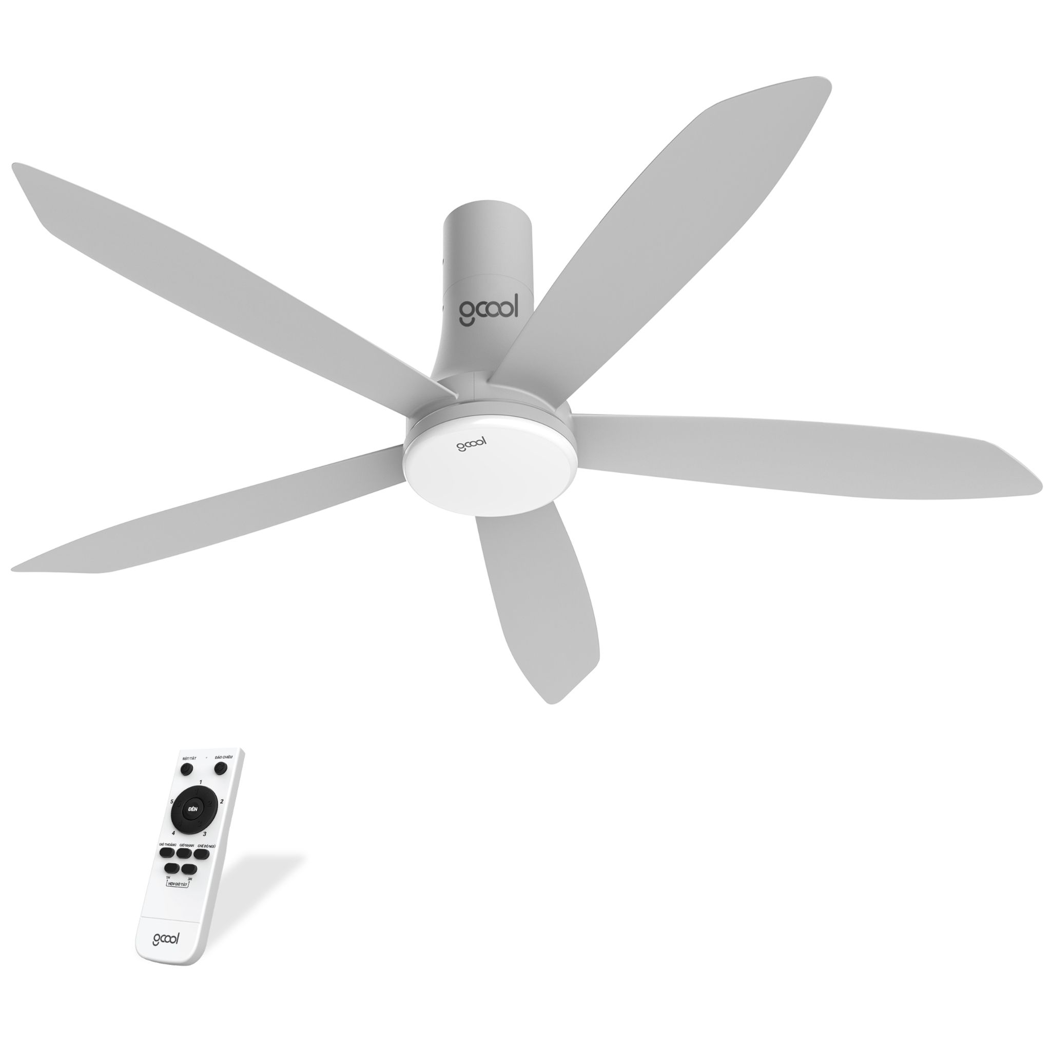 quat tran copter 05 plus rl