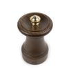 coixaytieuthucongpeugeot44879bistrolimitededition10cm