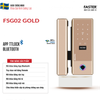 khoathongminhcuakinhfasterfsg02gold