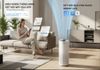 maylockhongkhisteigerstg3578wh