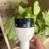 voiphunnuoctakagiracroclockeq551vq02khongcutnoi