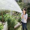 voituoicaytakagiprogripgardenqg1113fj