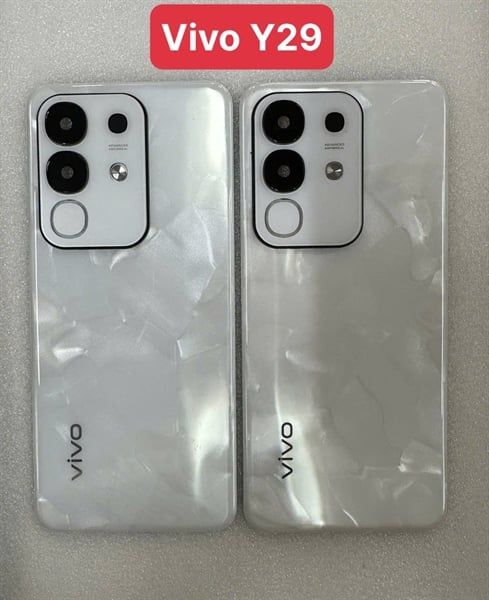 Lưng Vivo Y29 Zin - Trắng (+ KC)