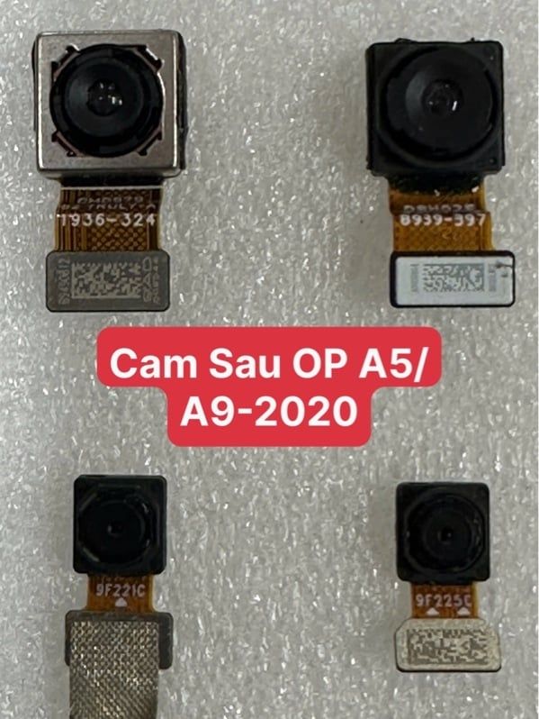 Camera Sau Oppo A5 2020 / A9 2020 Zin Bóc Máy (Bộ 4 Cái)
