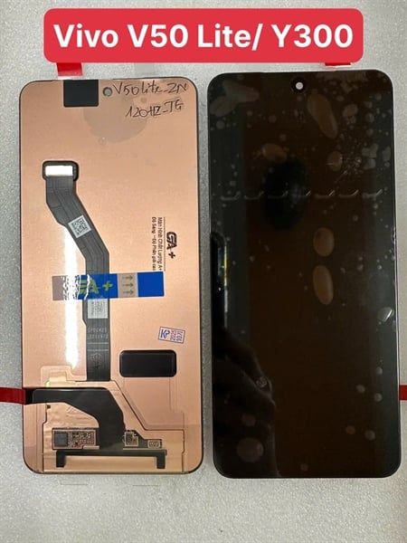 Màn Hình Vivo V50 Lite / Y300 - Zin New/ 120HZ (Amoled)