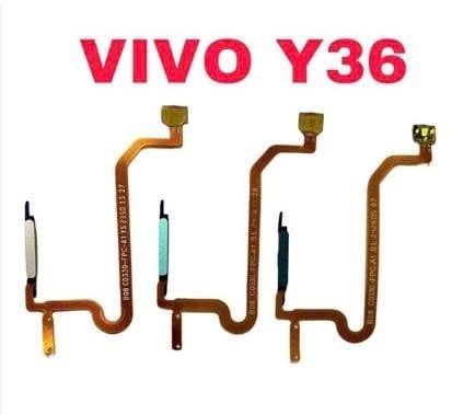 Vân Tay Vivo Y36 - 5G / Y17S Xanh
