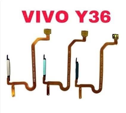 Vân Tay Vivo Y36 - 5G / Y17S Vàng