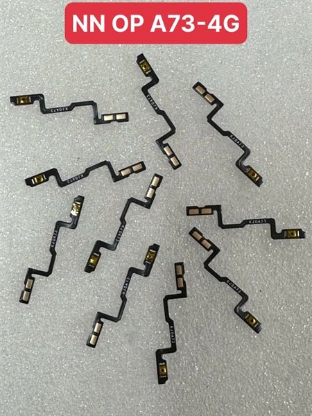 Dây Nút Nguồn Oppo A73 - 4G