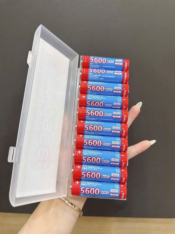 Pin Đài 5600mAh / Pin Loa Tròn Xịn (1 đầu bằng,1 đầu nhọn) ( cả vỹ -2k)