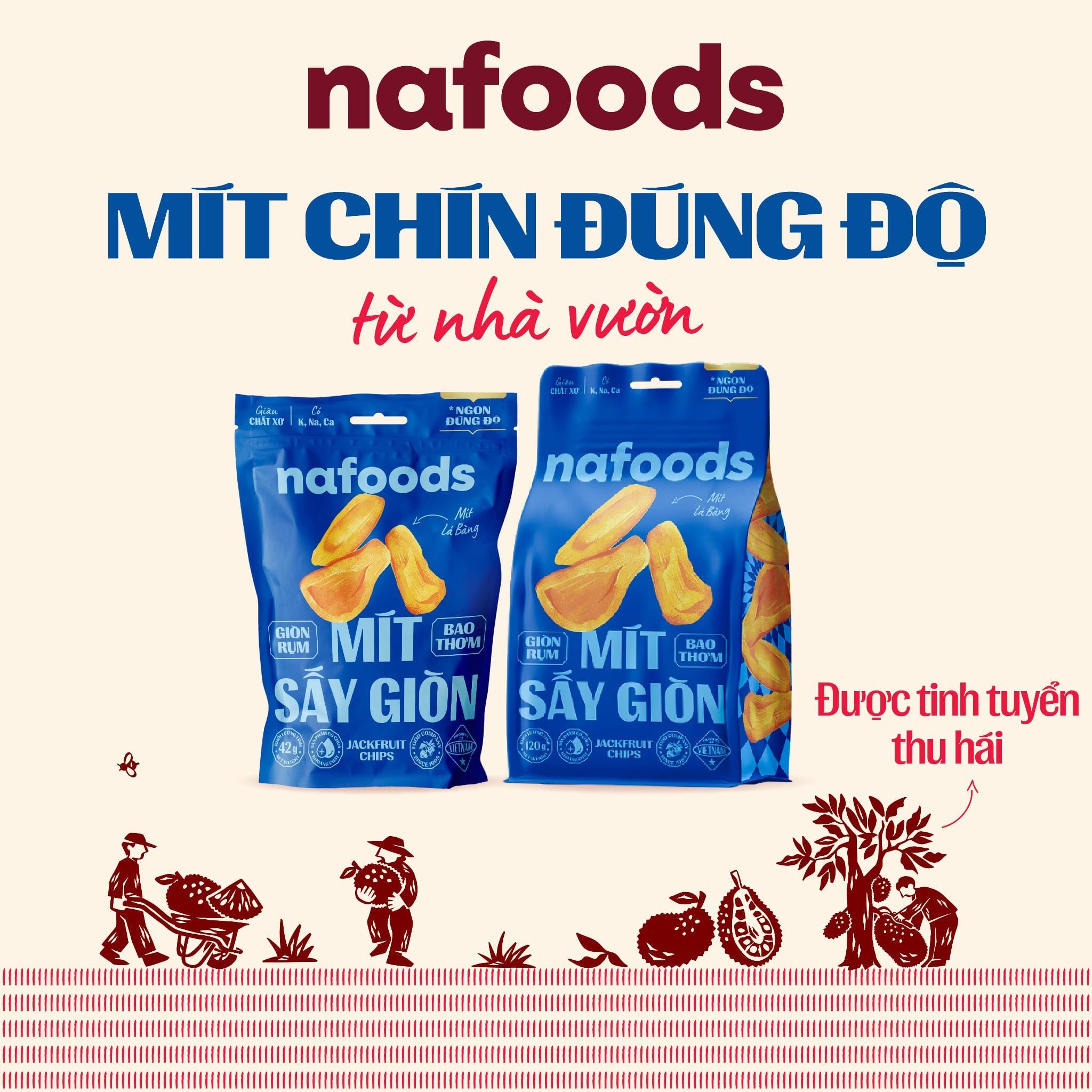  [Mua 5 Tặng 1] Mít Sấy Giòn Nafoods Gói 42g 