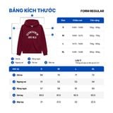 Áo Khoác Nam Hoodie Zip Orgnls Form Regular