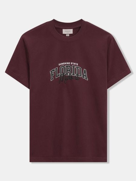 Áo Thun Nam Cotton Austin Texas Form Regular