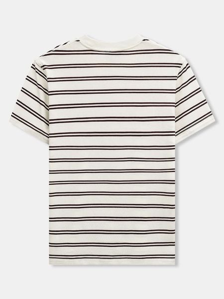 Áo Thun Nam Cotton Bear Line Form Regular