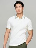 Áo Polo Nam Tay Ngắn Tag ICDN Form Regular