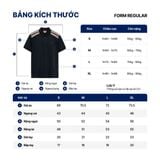 Áo Polo Nam Color Ridge Form Regular
