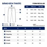 Quần Jogger Nam Norvik Form Regular JGID0079