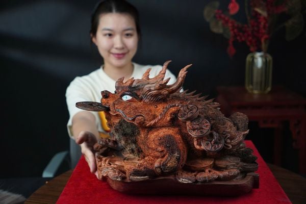 cóc hóa long gỗ trắc