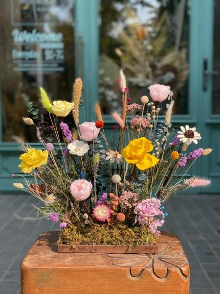 Khay hoa khô vuông M151244M