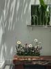 Khay hoa parallel Wild Bloom - M151266L