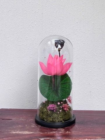 Dome thuỷ tinh hoa sen hồng | M180045S