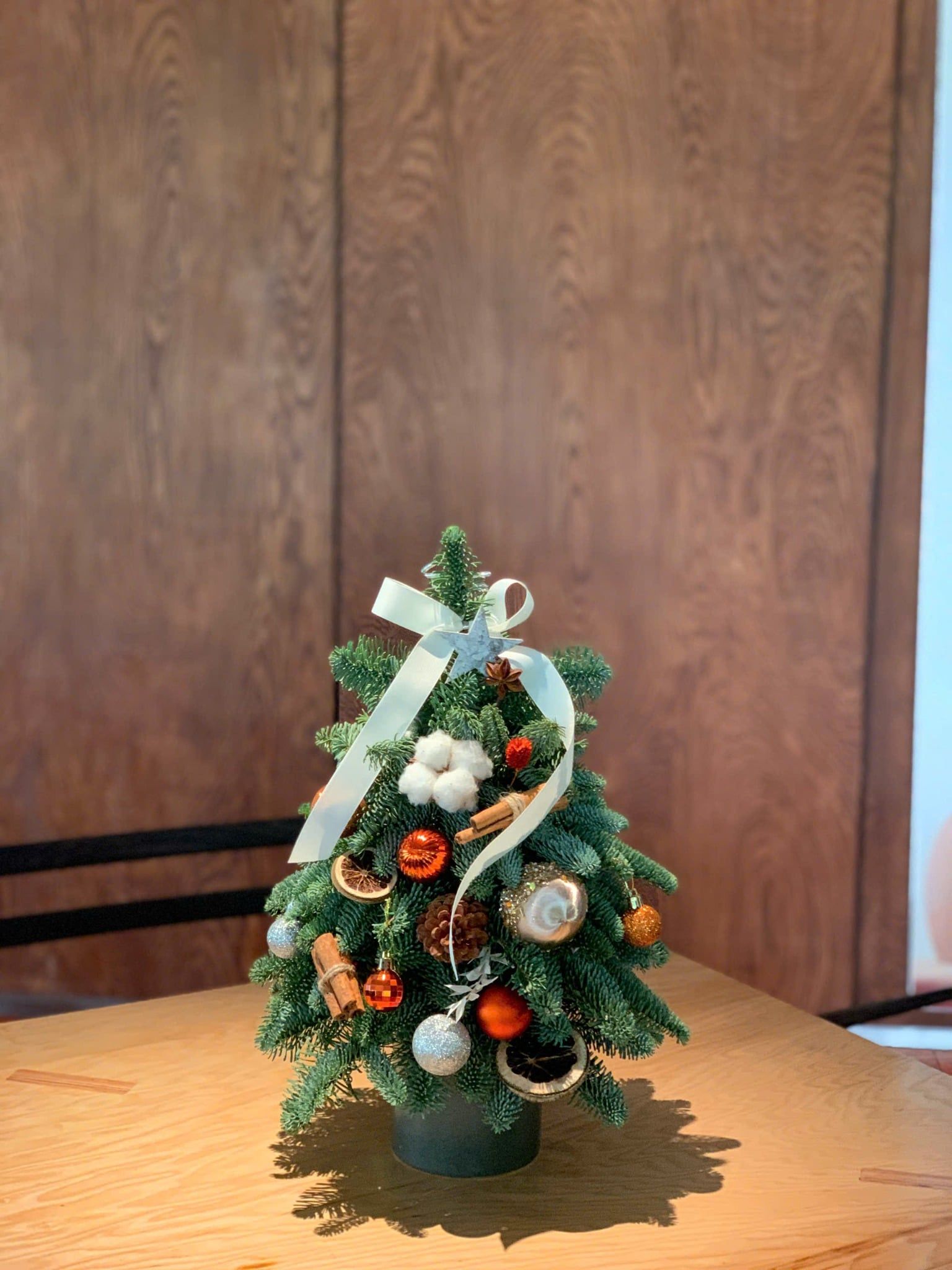 Chậu thông tươi cắm cành tạo hình cây thông H40cm