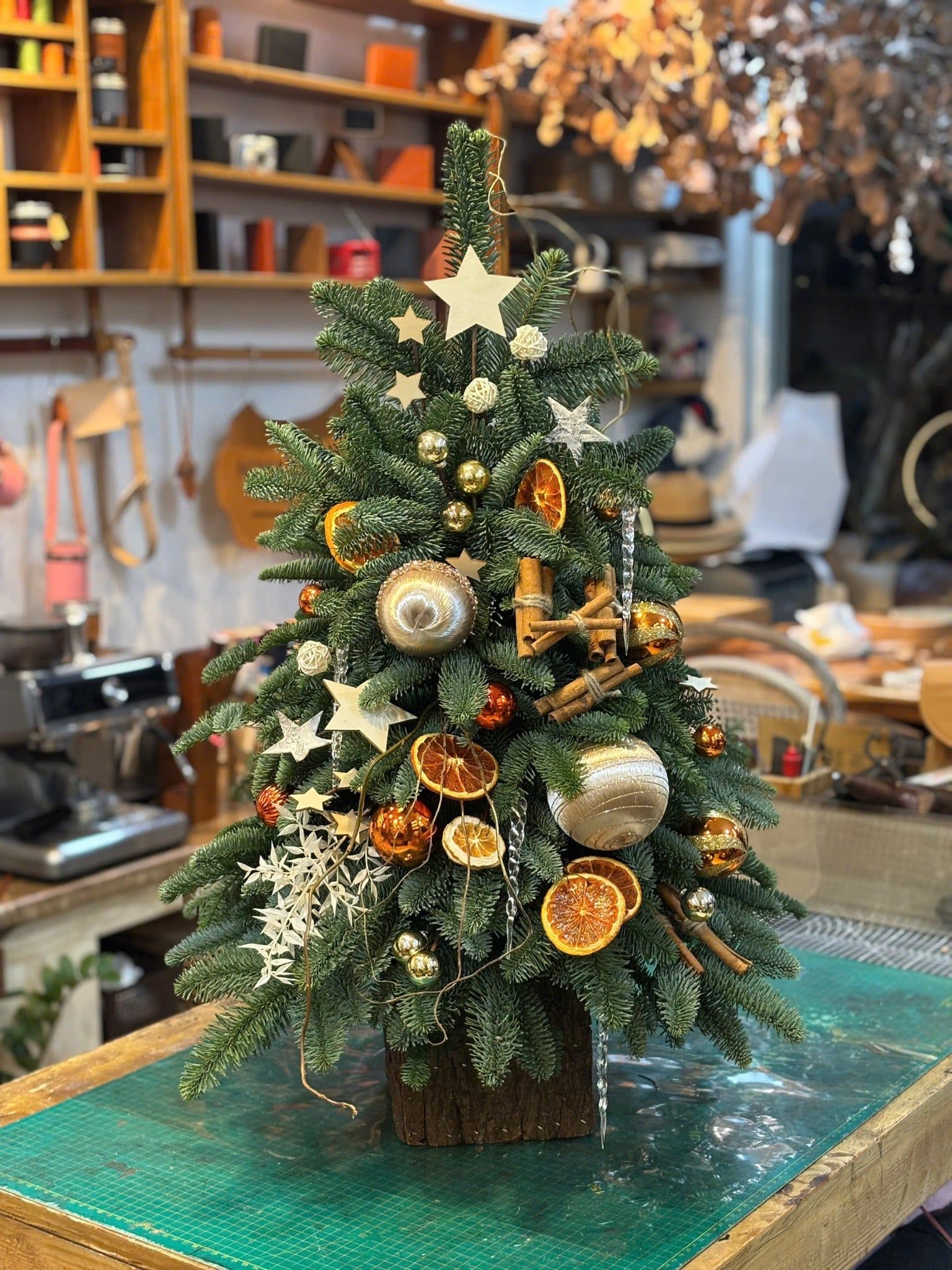 Cây thông tươi Đan Mạch cắm cành H80xW50cm