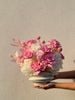Chậu hoa Pink Whisper - M130731M
