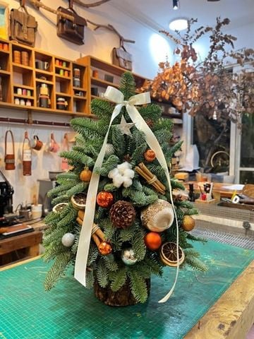 Cây thông tươi Đan Mạch cắm cành H60xW40cm