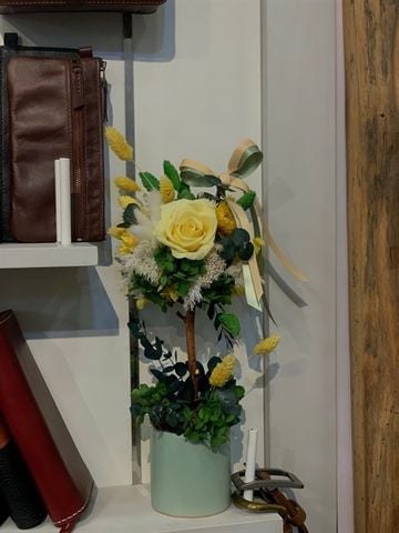 Chậu cây Blossom Tree vàng xanh M130694S