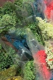 Hoa gạo nhuộm xanh lá
