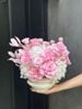 Chậu hoa Pink Whisper - M130731M