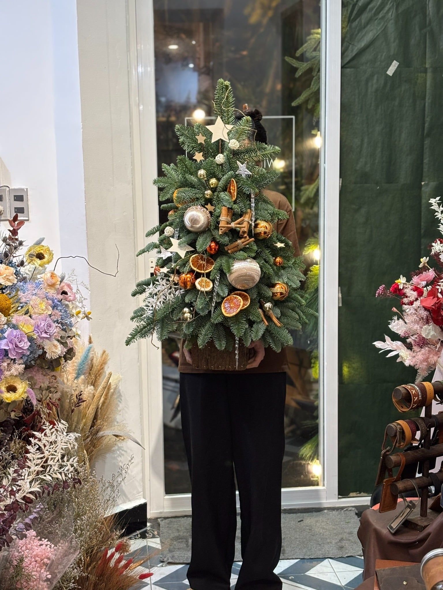 Cây thông tươi Đan Mạch cắm cành H80xW50cm