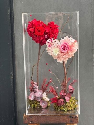 Hộp hoa khô Tình nhân M120250M