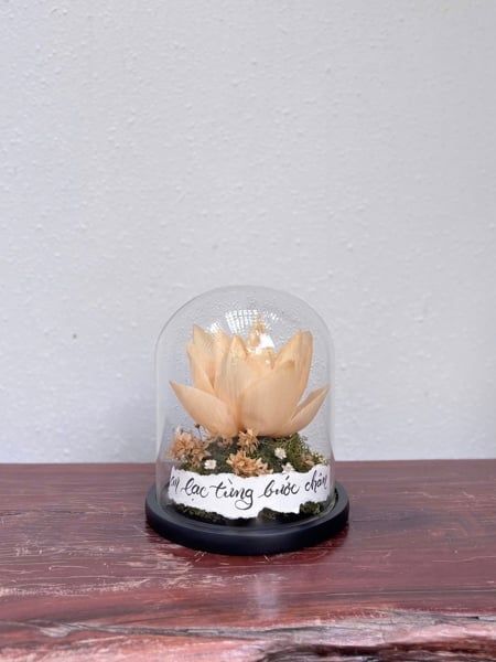 Dome thuỷ tinh hoa sen trắng| M180044S