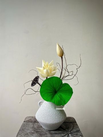 Bình hoa sen khô M180026M