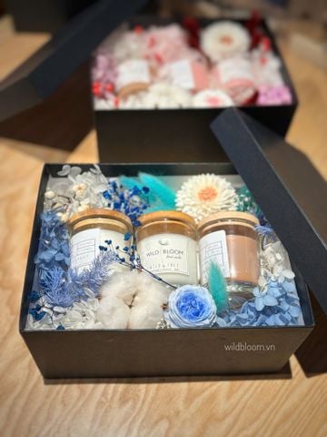 Set quà tặng nến hoa The Ocean