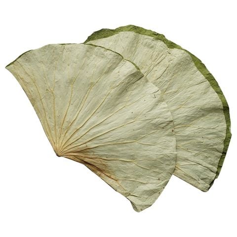 Lá sen khô có gắn kẽm