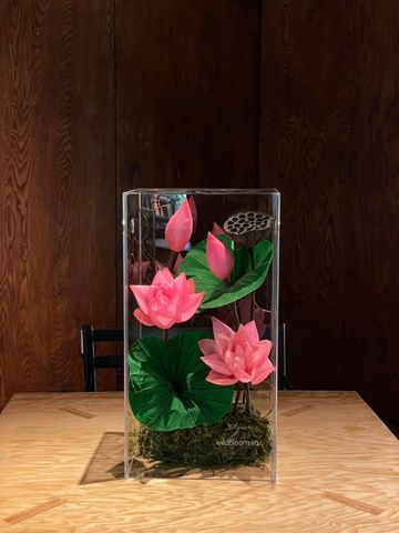 Hộp hoa sen preserved hồng M180024M