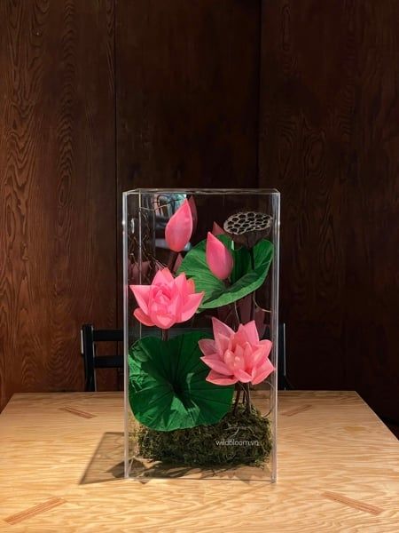 Hộp hoa sen preserved M180032M