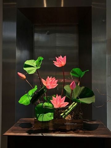 Khay hoa sen bất tử