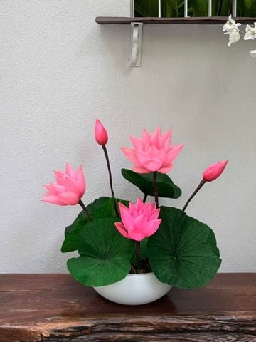 Chậu sen preserve tone hồng hoặc trắng