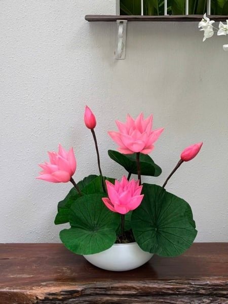 Chậu sen preserve tone hồng hoặc trắng