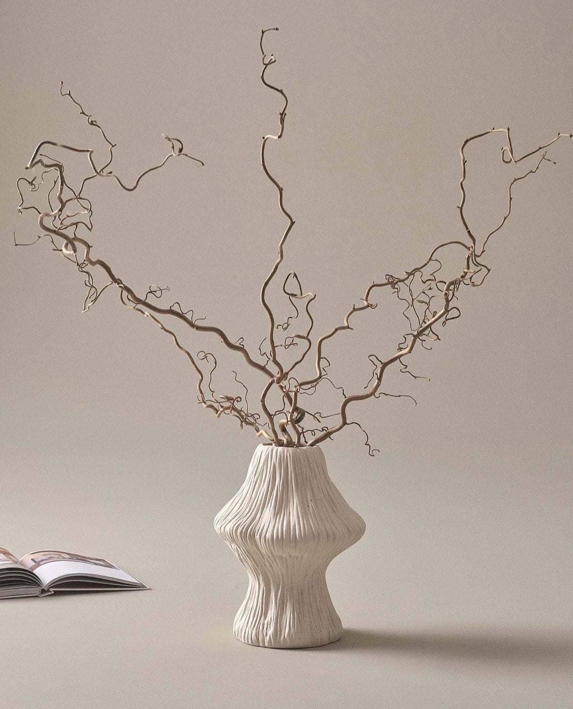 Cành Corylus