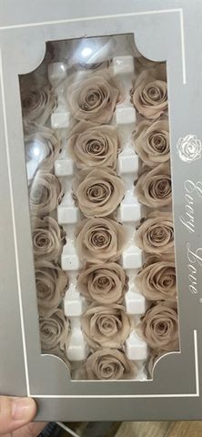 Hoa hồng preserved XS- màu hồng khói