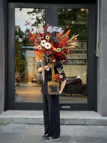 Cây hoa chúc mừng tone cam-đỏ